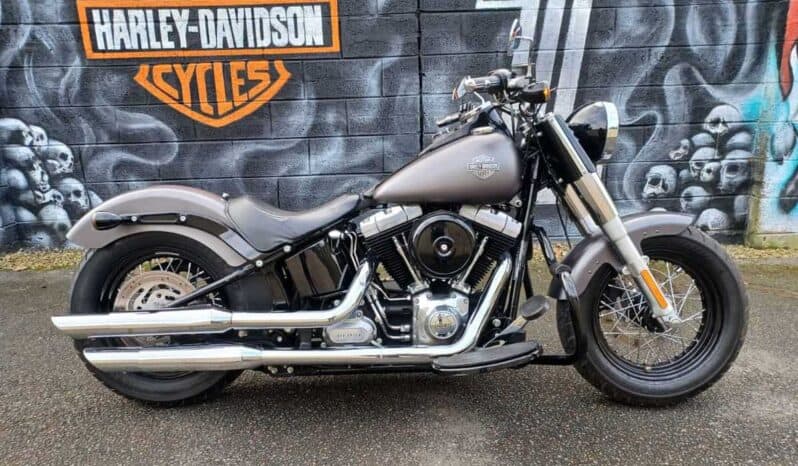 2014 Harley-Davidson Softail Slim (FLS)