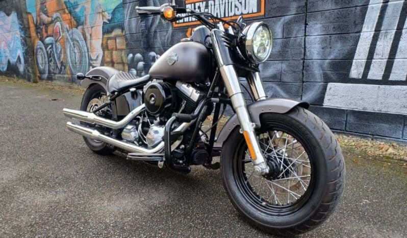 
								2014 Harley-Davidson Softail Slim (FLS) full									