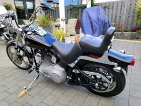 2004 Harley-Davidson Softail Standard 1450 (FXST)