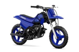 2022 Yamaha PeeWee 50 (PW50)