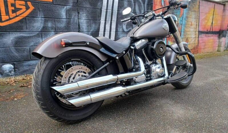 
								2014 Harley-Davidson Softail Slim (FLS) full									