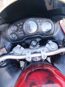 
										2000 Honda CBR1100 XX Super Blackbird full									
