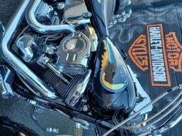 
										1996 Harley-Davidson Fat Boy 80 (FLSTF) full									
